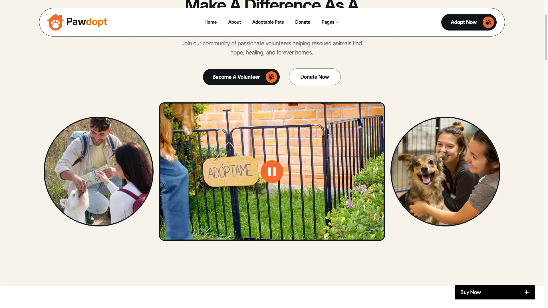 Advanced Animations_pawdopt - TNCFlow