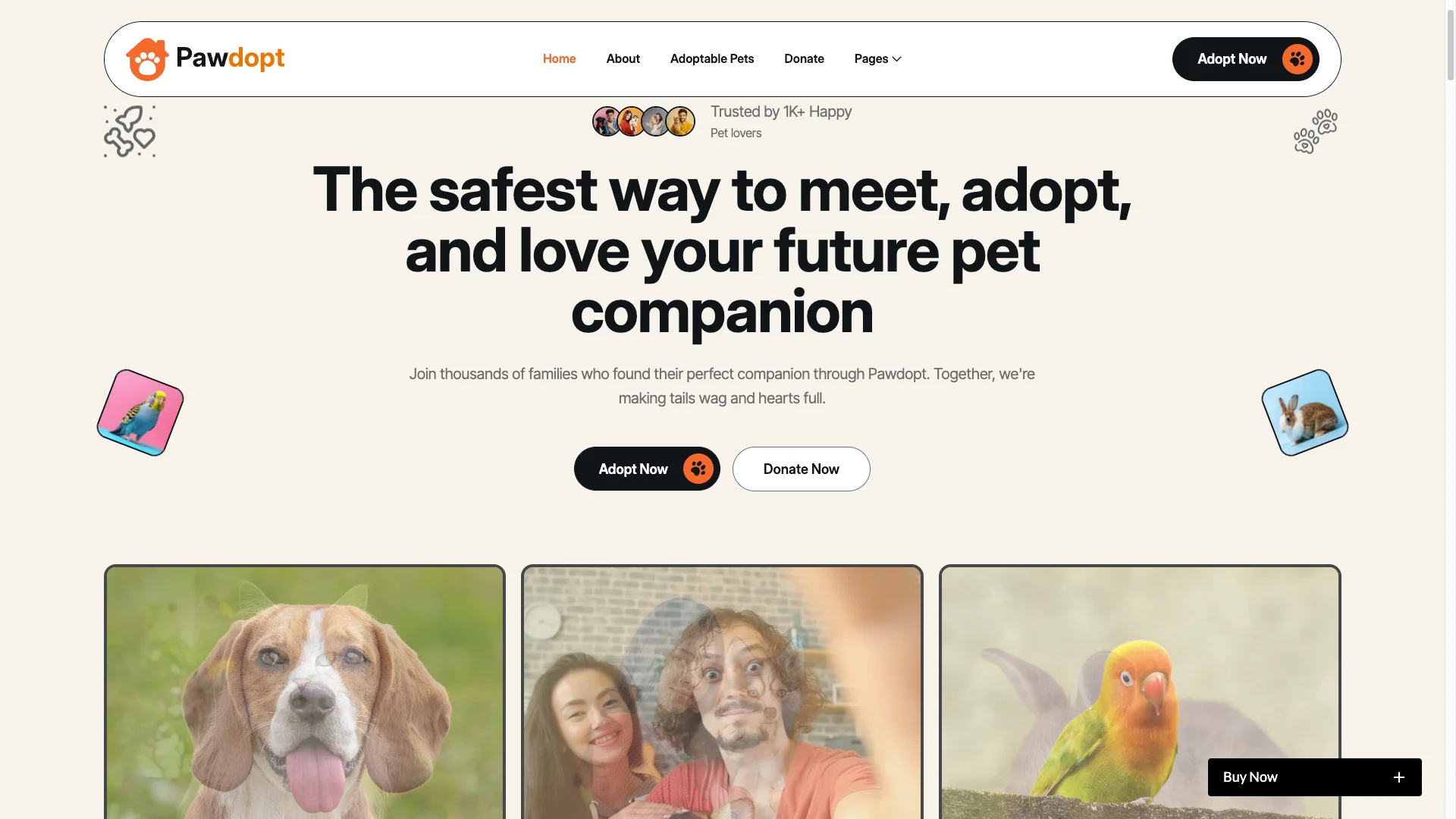 Impressive Pet Adoption Homepage - TNCFlow