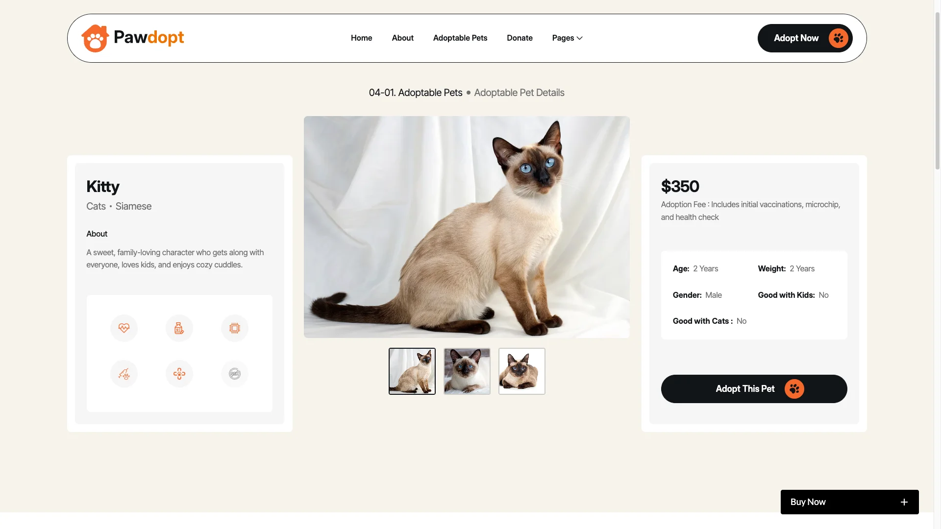 Interactive Adoption Process - TNCFlow