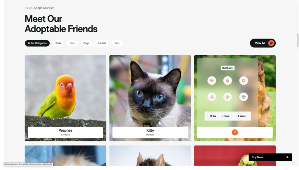 Interactive Pet Profile Pages - TNCFlow