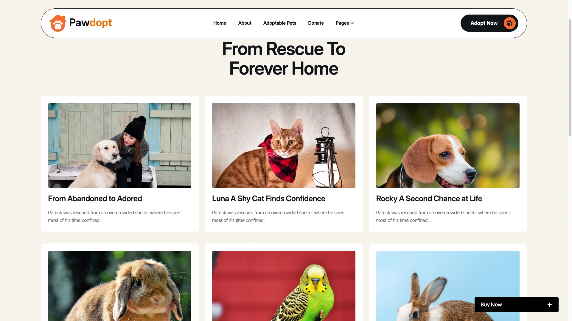 Testimonials & Impact Proof - TNCFlow