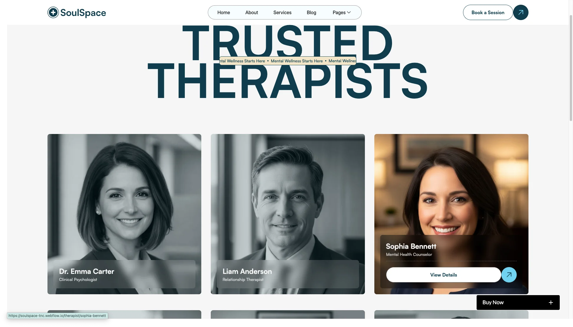 Therapists Showcase - TNCFlow Directory page showing headshots of therapists with names and titles (Emma Carter, Clinical Psychologist; Liam Anderson, Relationship Therapist; Sophia Bennett, Mental Health Counselor)