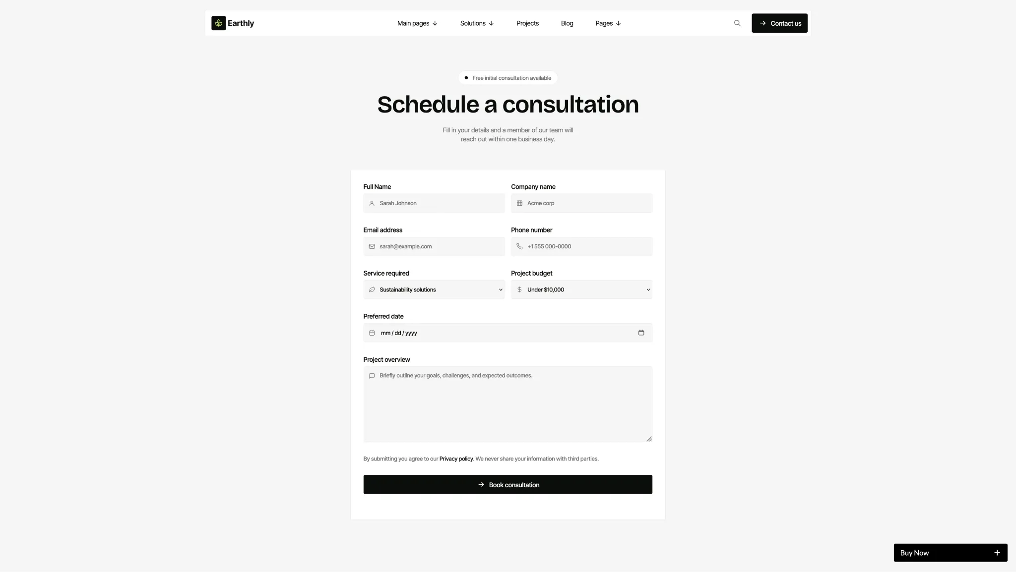 Consultation Widget - TNCFlow Schedule a consultation page: title and a form card with fields for name, company, email, phone, service, budget, date, and project overview
