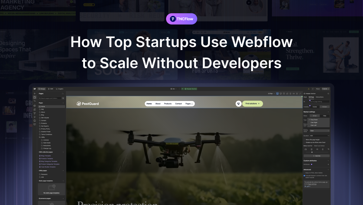 Startups